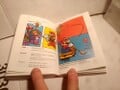 Scan of the book