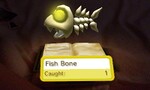 A Fish Bone on display in the Augmented Reality feature Fish Gallery
