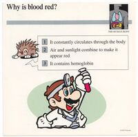 Blood red quiz card.jpg