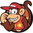 Diddy Kong icon for Mario Hoops 3-on-3