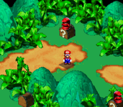 Fourth Treasure in Rose Way of Super Mario RPG: Legend of the Seven Stars.