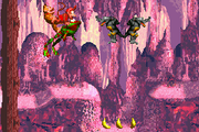 Bouncy Bonanza in the Game Boy Advance version of Donkey Kong Country