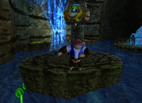A set of green Banana Coins in Crystal Caves.