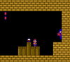 The Crystal Ball pedestal in World 7-2 of Super Mario Bros. 2.