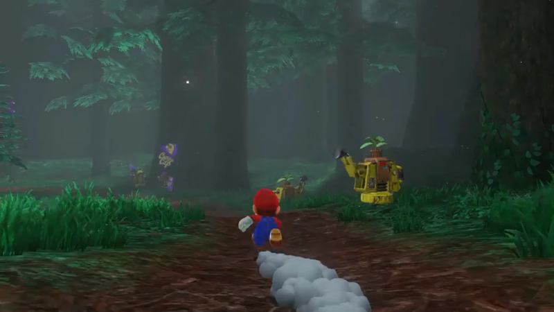 File:SMO Crazy Cap Forest.PNG