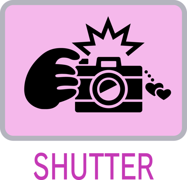 File:Shutter (icon) - Game & Wario.png