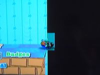 Paper Mario: The Thousand-Year Door glitch