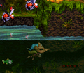 The Kongs head into an underwater passage.