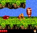 Donkey Kong Land III (Game Boy Color)
