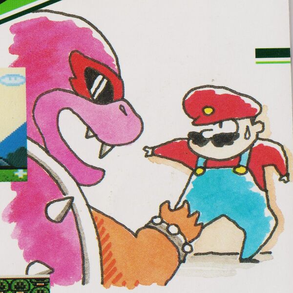 File:SMW Kanzenhan Roy 01.jpg