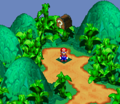Second Treasure in Bandit's Way of Super Mario RPG: Legend of the Seven Stars.
