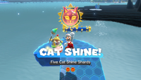 Five Cat Shine Shards