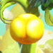 A large flower bud from Yoshi and the Mysterious Book