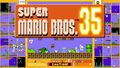 Super Mario Bros. 35 *