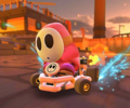 Pink Shy Guy's Pipe Frame