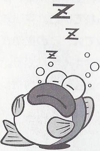 Rip Van Fish - Super Mario Wiki, the Mario encyclopedia