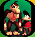 Donkey Kong Country