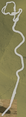 From Great ? Block Ruins