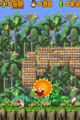 Donkey Kong and Diddy grab on a giant flower in Jungle Beach
