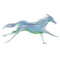 A running horse