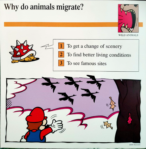 File:Migrate quiz card.png