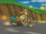 Daisy racing on Mario Circuit