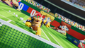 Bowser returning a shot from Peach