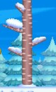 Snow-covered tree