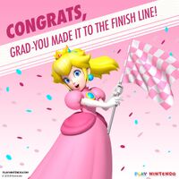 PN Nintendo Printable Graduation Cards 2.jpg