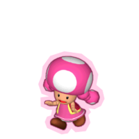 Toadette2 Miracle YoshiRevenge 6.png