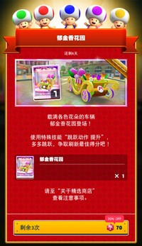 MKT Tour120 Spotlight Shop Flower Kart ZH-CN.jpg