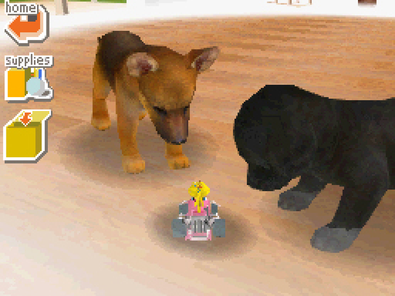 File:NM nintendogs Toy Peach Kart.png