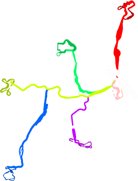 File:Peach Beach Routes.png