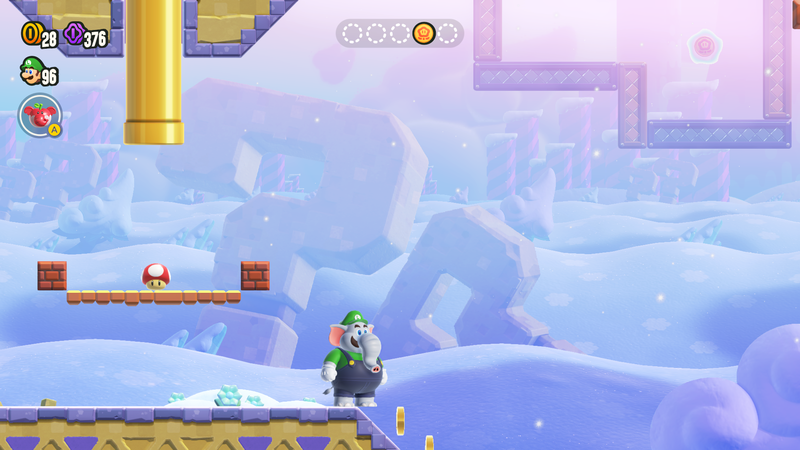 File:SMBW Puzzling Park.png