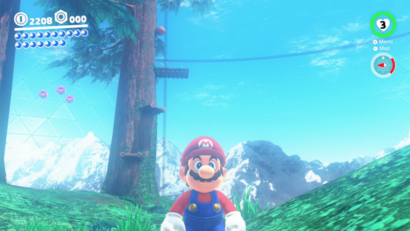 File:SMO Wooded Moon 10.png