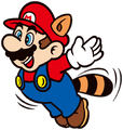Raccoon Mario flying (Mario Portal)