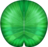 Texture of a lily pad from Super Mario Sunshine.