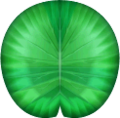 Texture of a lily pad from Super Mario Sunshine.