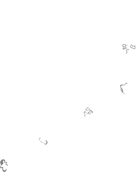 File:Golden Rally Tracks.png