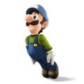 Super Smash Bros. for Nintendo 3DS / Wii U‎ blue green luigi