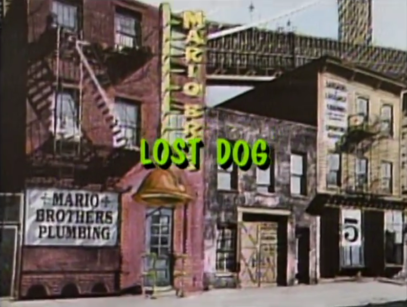 File:TSMBSS Lost Dog title card.png