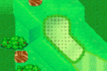 The green from Hole 13 of the Mushroom Course from Mario Golf: Advance Tour