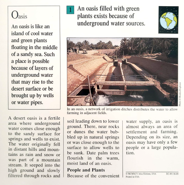 File:Oasis quiz card back.png