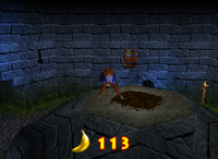 A DK Dirt Pile and a Bonus Barrel for Lanky Kong on DK Isles.