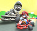 Mario and Metal Mario in the Pipe Frame