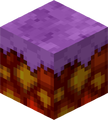 Crimson Nylium
