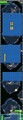 Thumbnail for version as of 01:38, October 30, 2024