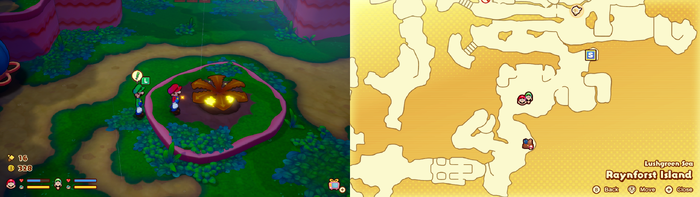 Mario and Luigi near a Golden Plug Radish containing 6 L Coins and 6 M Coins on Raynforst Island of Mario & Luigi: Brothership.
