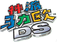 SM64DS China.png