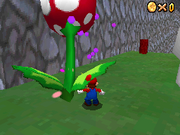 Mario killing a Big Piranha Flower in the DS remake.
